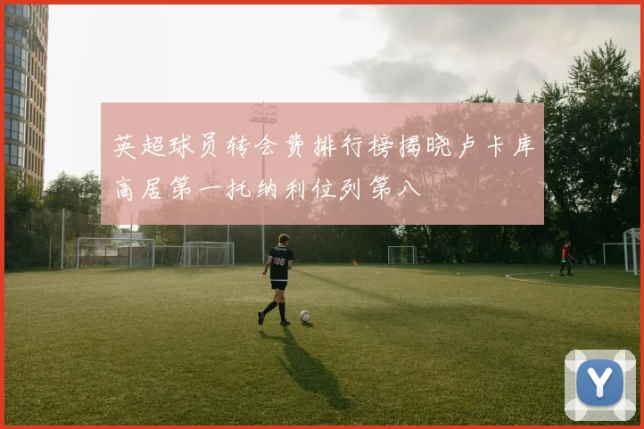 英超球员转会费排行榜揭晓卢卡库高居第一托纳利位列第八